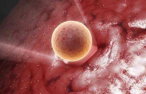 香港玛西验血结果未测出y,男的精子弱可以做试管婴儿吗？