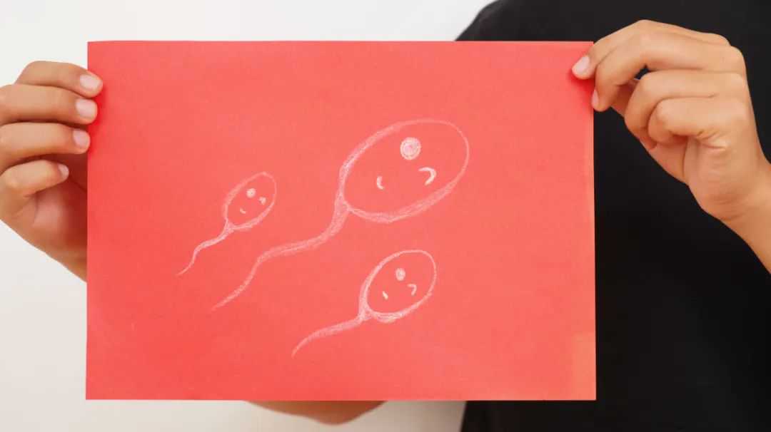 香港20周验血男女,备孕期间，老公可以喝酒吗？为胎