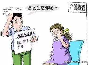 孕8周还能到香港验血吗,38岁高龄备孕：胎停5次，宫外孕2次，试管失败，我还能