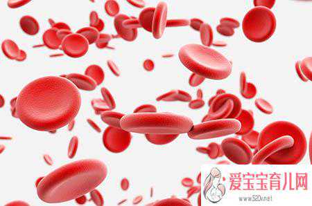 香港验血一般几周去,备孕要注意饮食营养吗