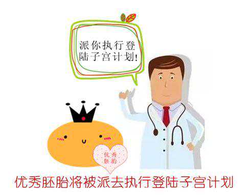 邮寄香港验血男症状女信哪个,「生殖吧」医生，做试管，我可以选择双胞胎吗
