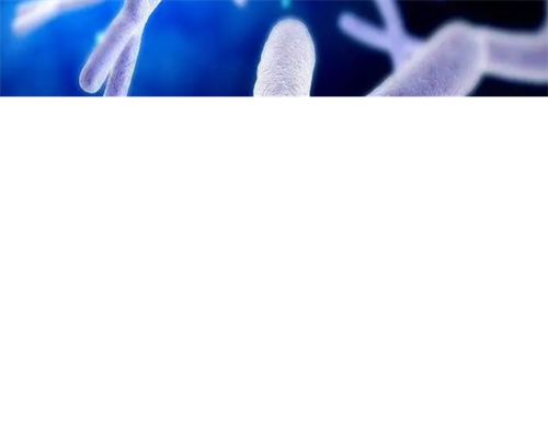抗苗勒管激素不孕