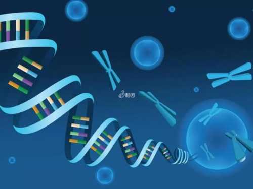多久不怀孕算不孕